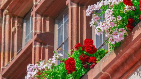 Jardinière balcon